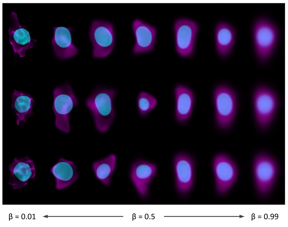 cells generated using the integrated cell model using a range of beta values